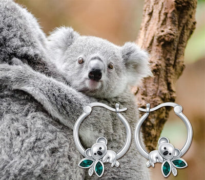 'Oreilles petit Koala sur une branche